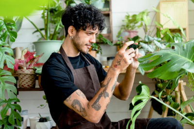 plant-shop-worker-takes-photo-potted-plants