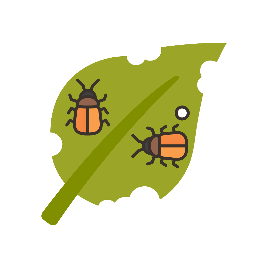 4. Pests