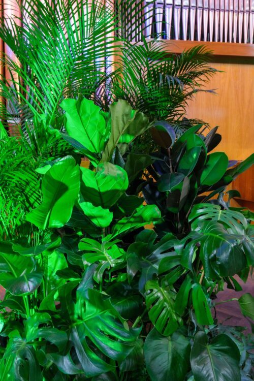 DSCF1455