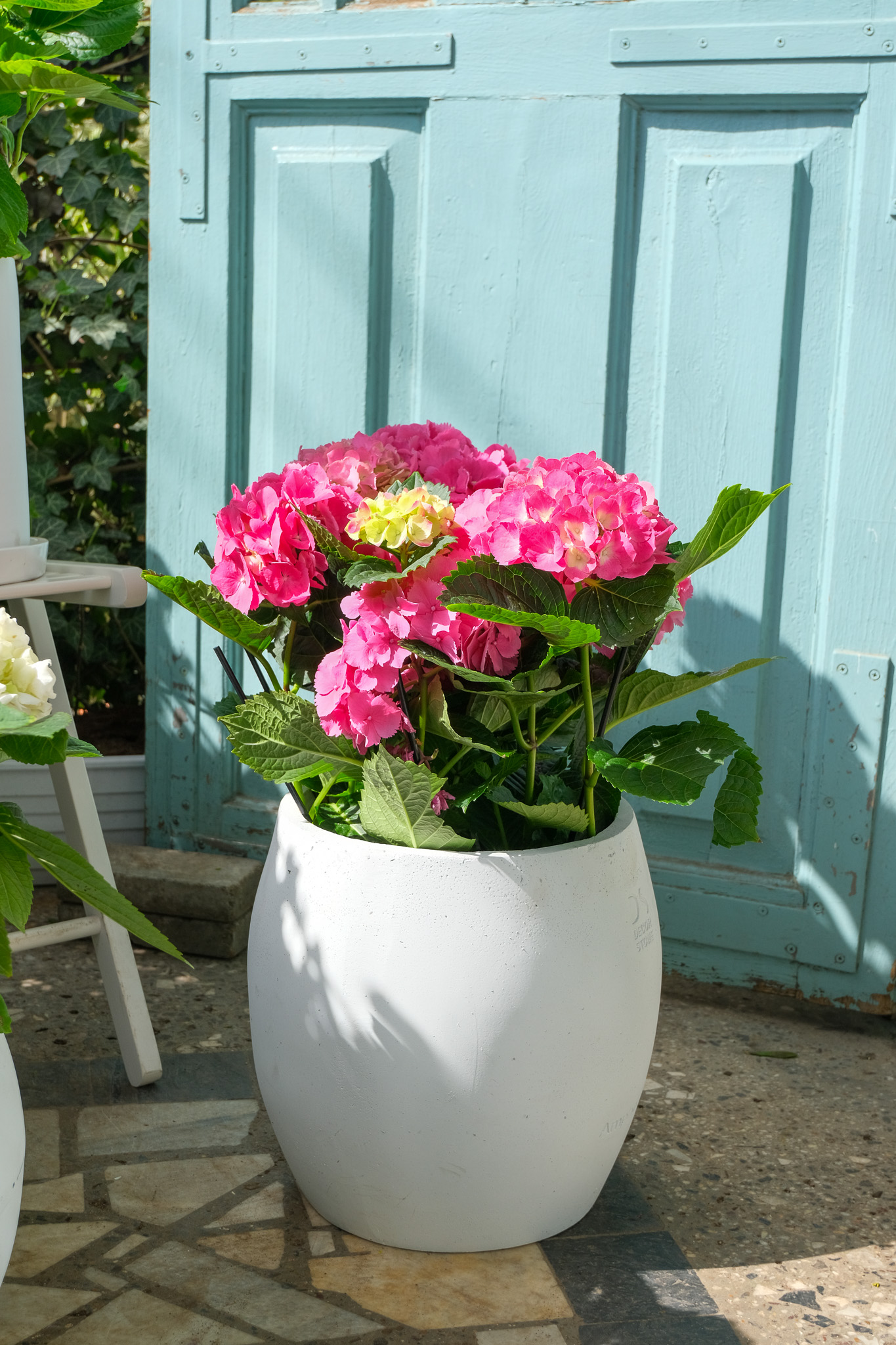 15_Hortensia Exterior