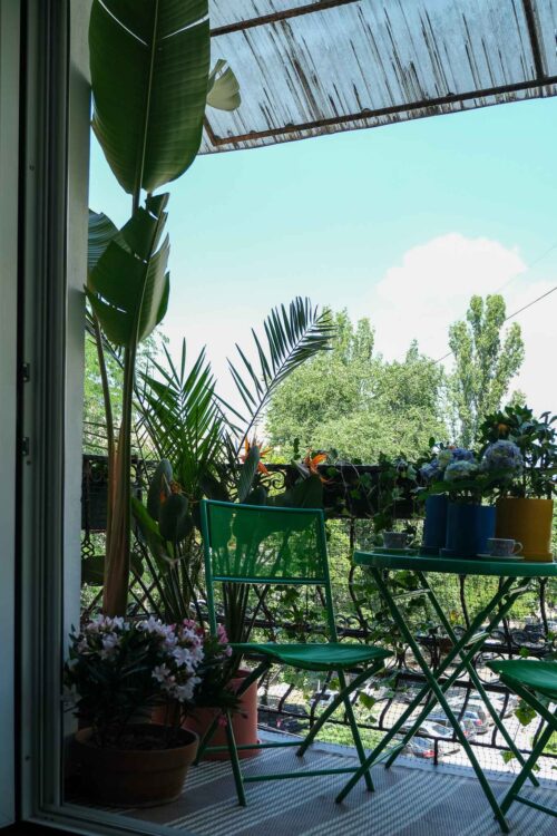 DSCF8571
