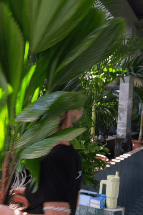 DSCF0662