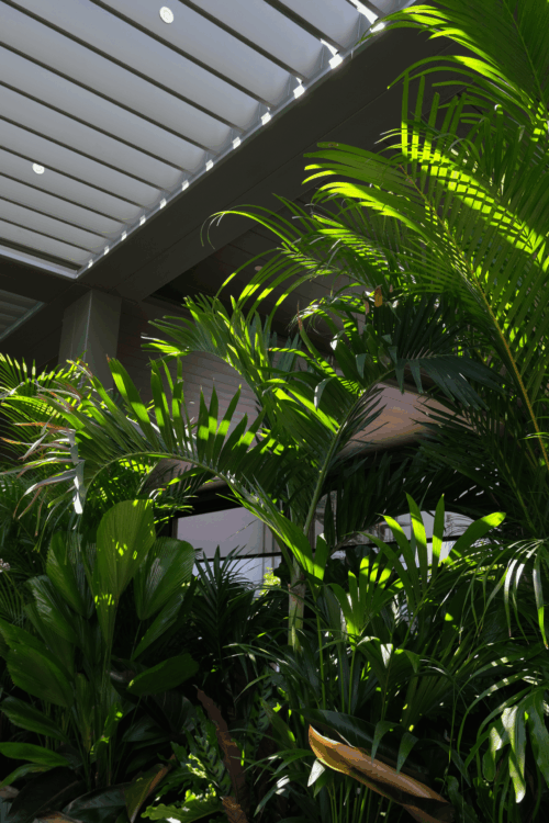 DSCF0779