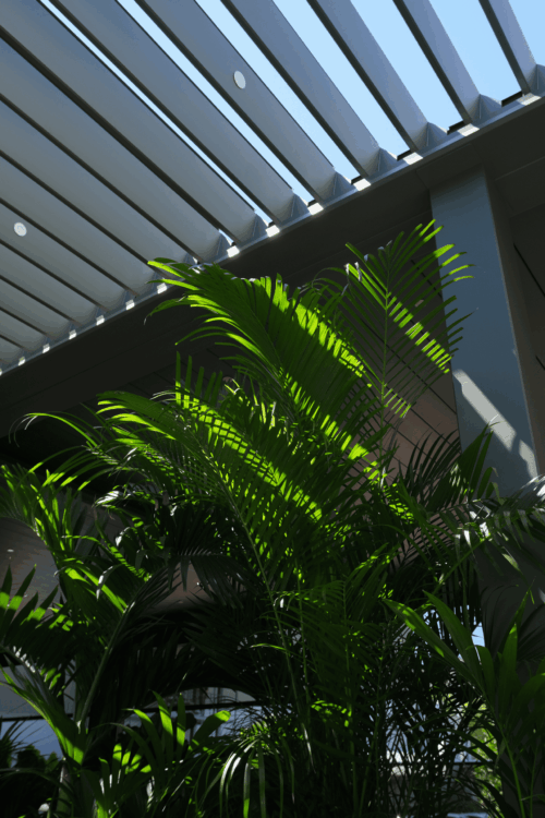 DSCF0785