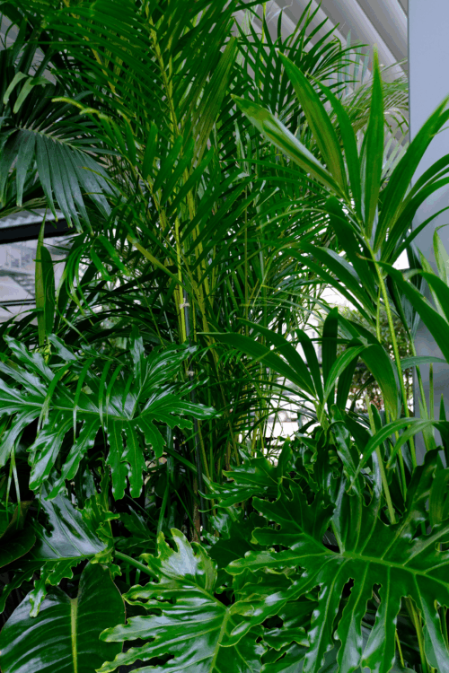 DSCF2013